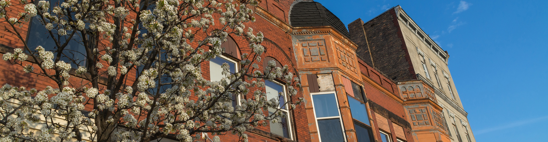 Believe in La Salle, established in 1852